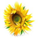 南方排八字軟件 v7.30 專業(yè)版