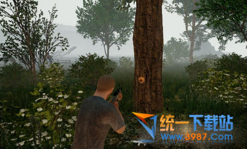 絕地求生無后除草晴天補丁下載